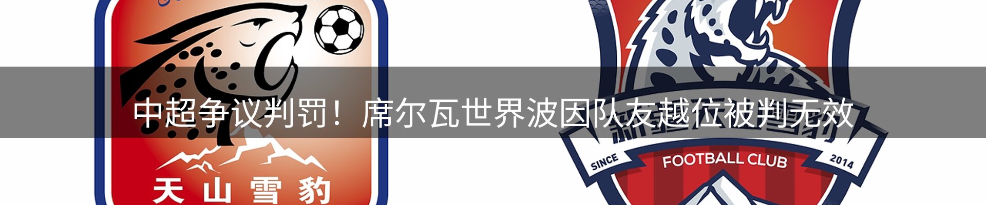 资讯报道