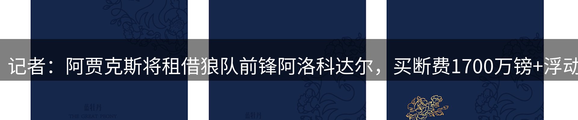 资讯报道