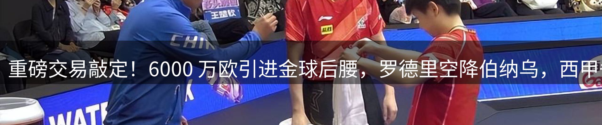 资讯报道