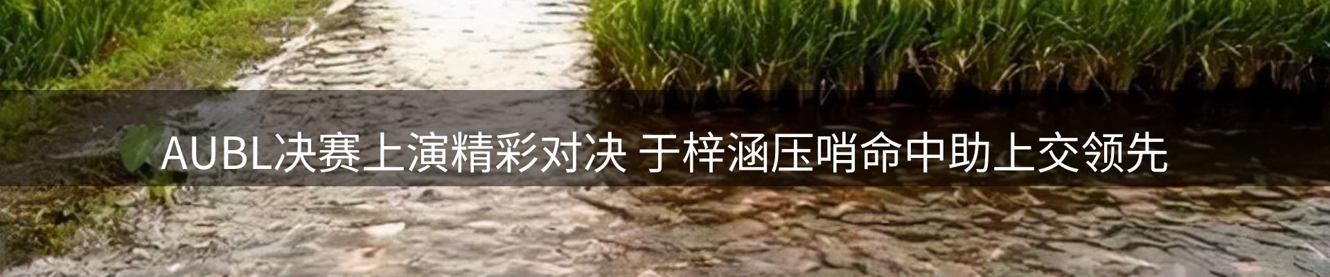 资讯报道